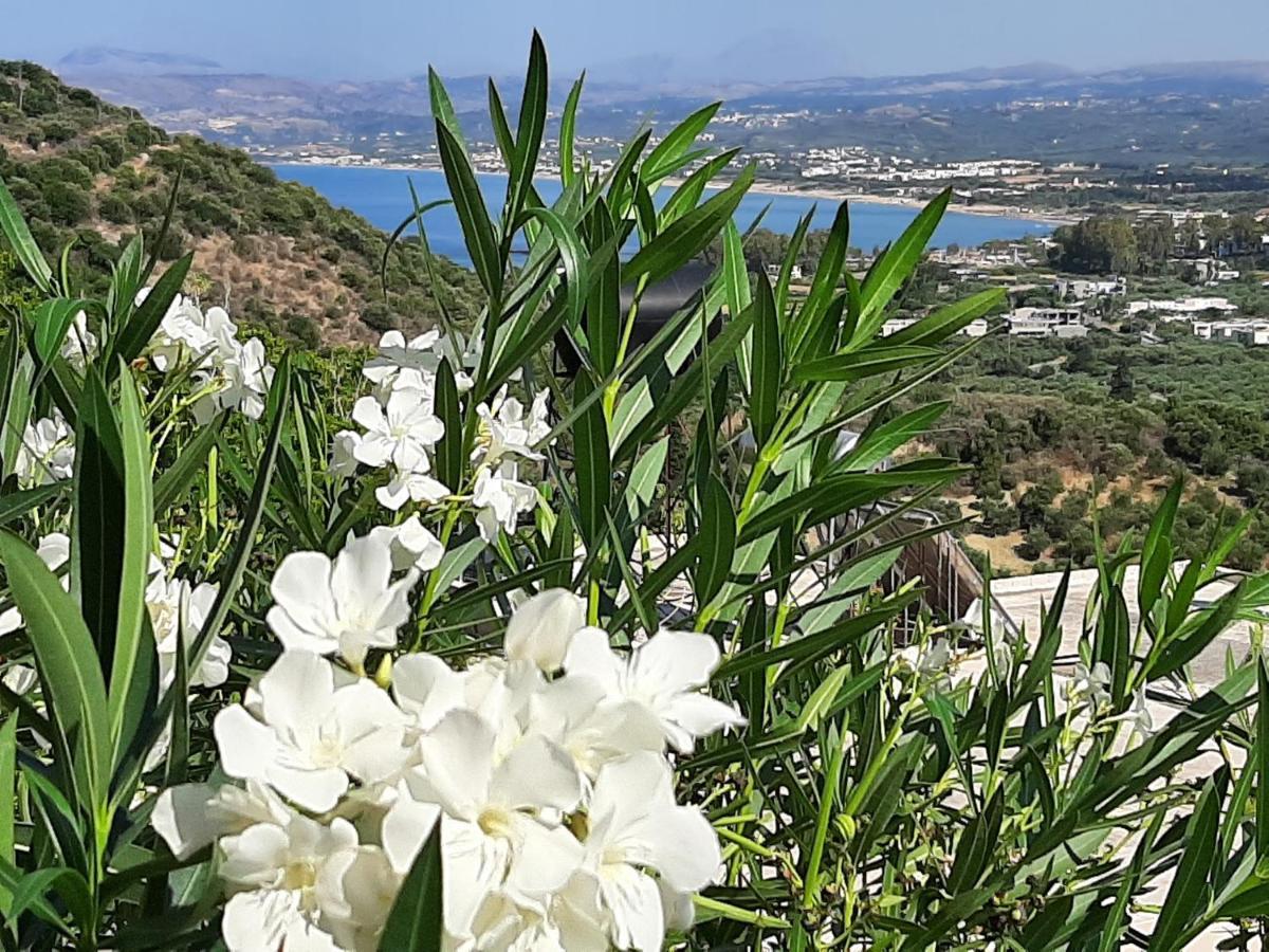 גאורגיופוליס Aloe Villa Chania Crete מראה חיצוני תמונה