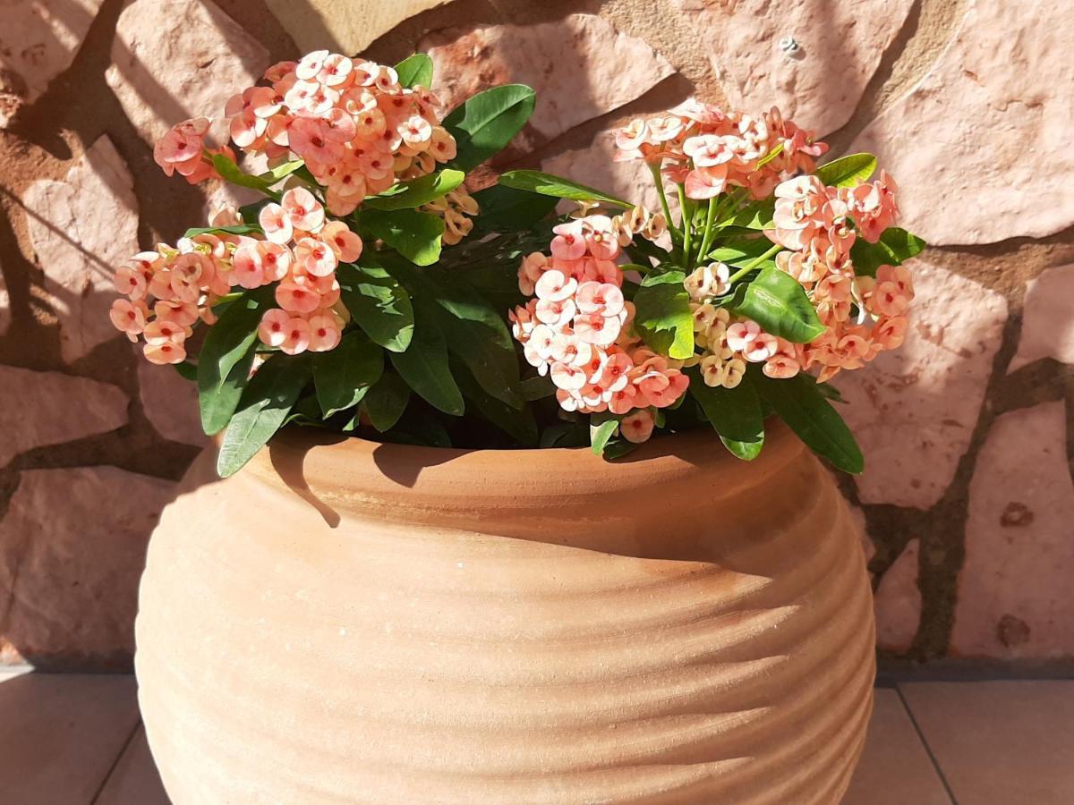 גאורגיופוליס Aloe Villa Chania Crete מראה חיצוני תמונה